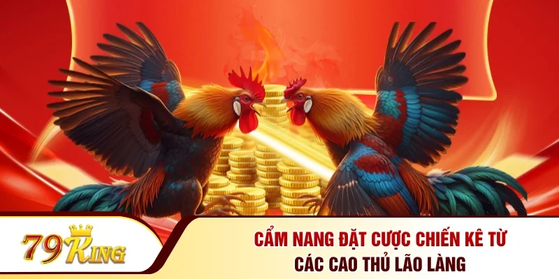 Cẩm nang đặt cược chiến kê từ các cao thủ lão làng
