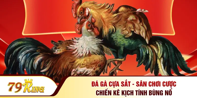 Đá gà cựa sắt