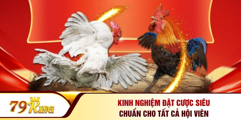 Kinh nghiệm đặt cược siêu chuẩn cho tất cả hội viên