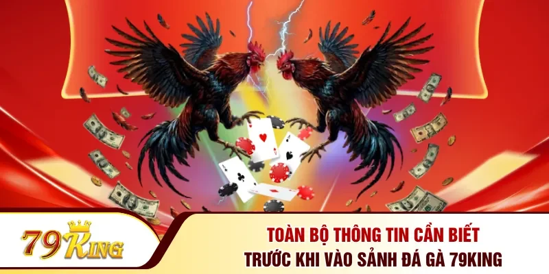 Toàn bộ thông tin cần biết trước khi vào sảnh đá gà 79KING